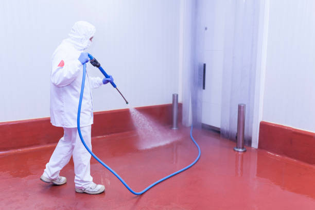 Reliable Crest View Heights, NY Pressure Washing Services Solutions
